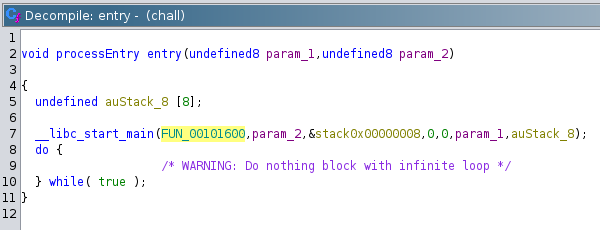 Entry function of the provided binary.